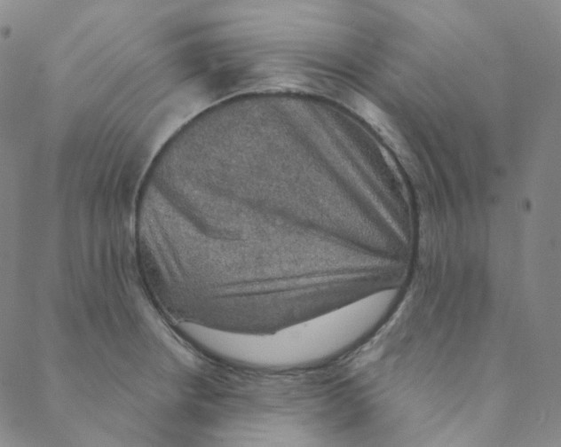 X0000088391234200706191325