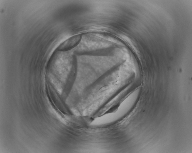 X0000088391235200706191325