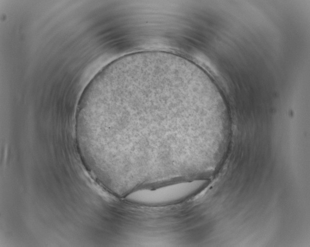 X0000088391236200706191325