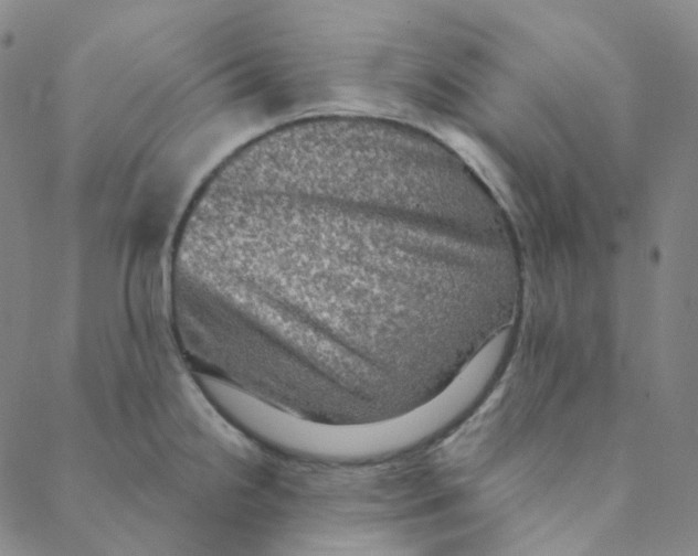 X0000088391238200706191325