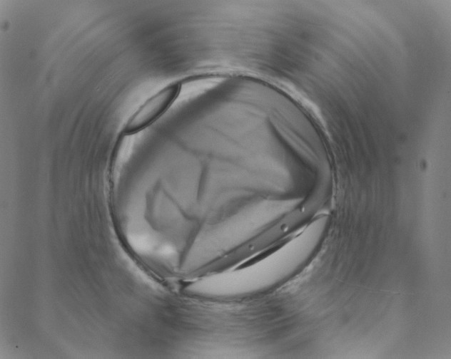 X0000088391239200706191325