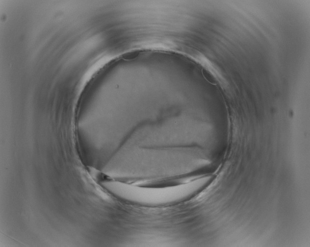 X0000088391240200706191325