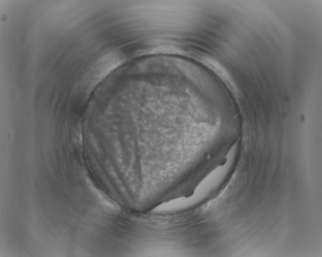 X0000088391241200706191325