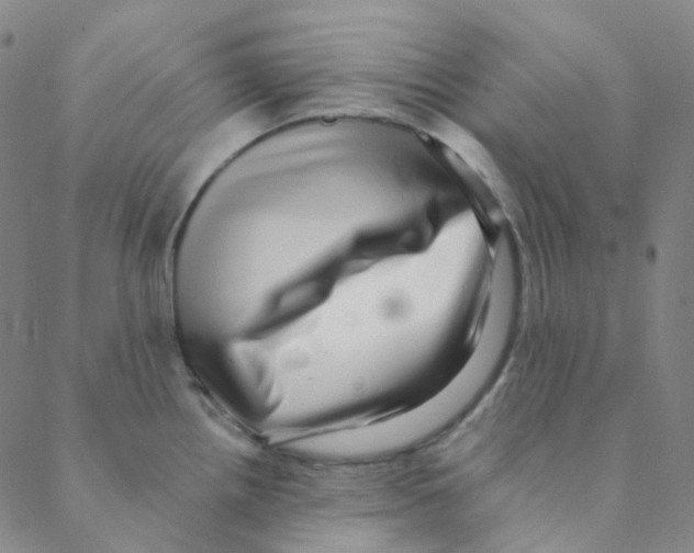 X0000088391242200706191325