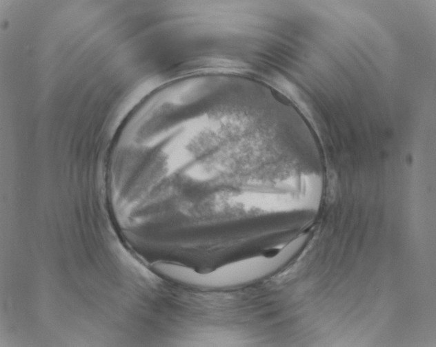 X0000088391243200706191325