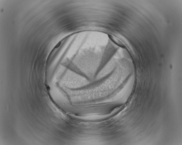 X0000088391244200706191325