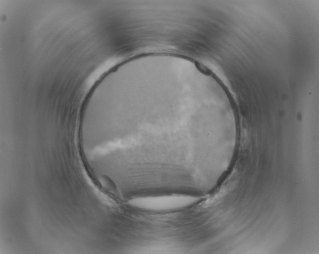 X0000088391245200706191325