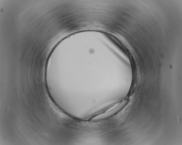 X0000088391246200706191325