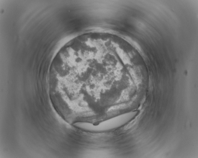 X0000088391247200706191325