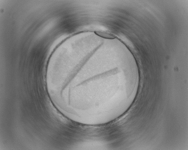 X0000088391248200706191325