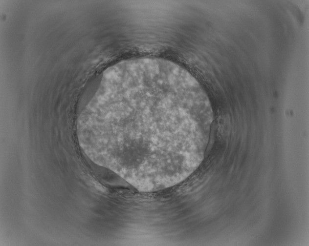 X0000088391249200706191324