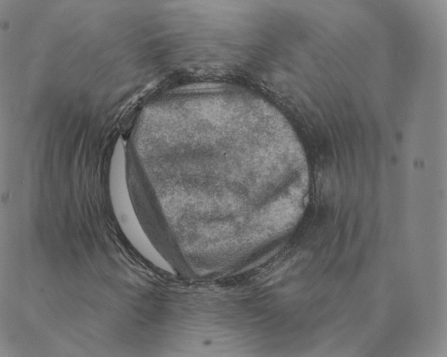 X0000088391250200706191324