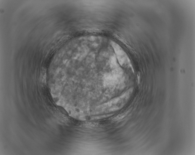 X0000088391251200706191324