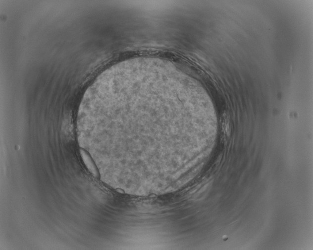 X0000088391252200706191324