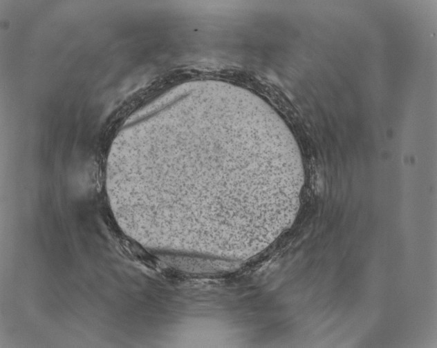 X0000088391253200706191324