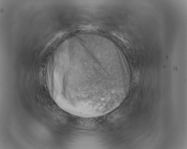 X0000088391254200706191324