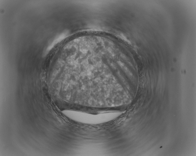 X0000088391255200706191324