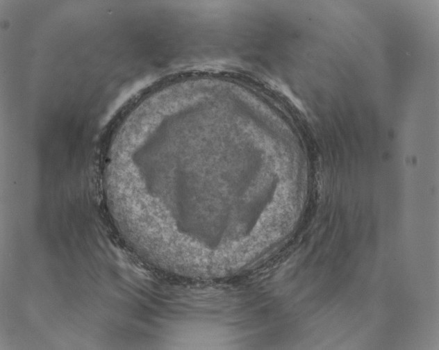 X0000088391256200706191324