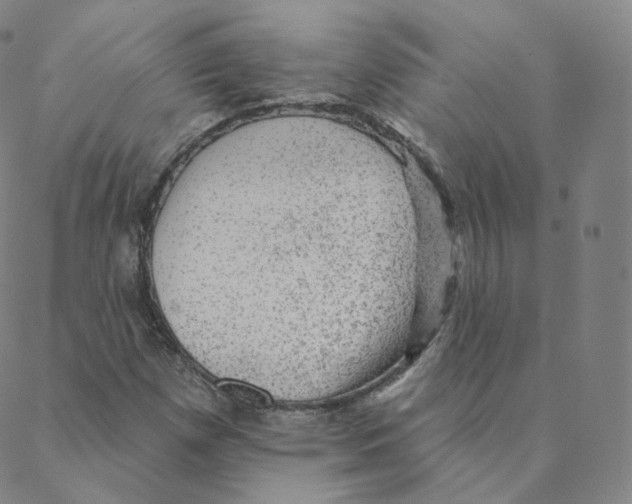 X0000088391257200706191324