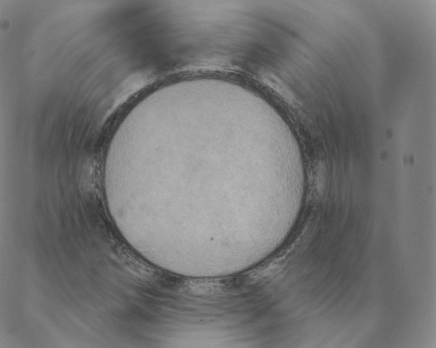 X0000088391258200706191324