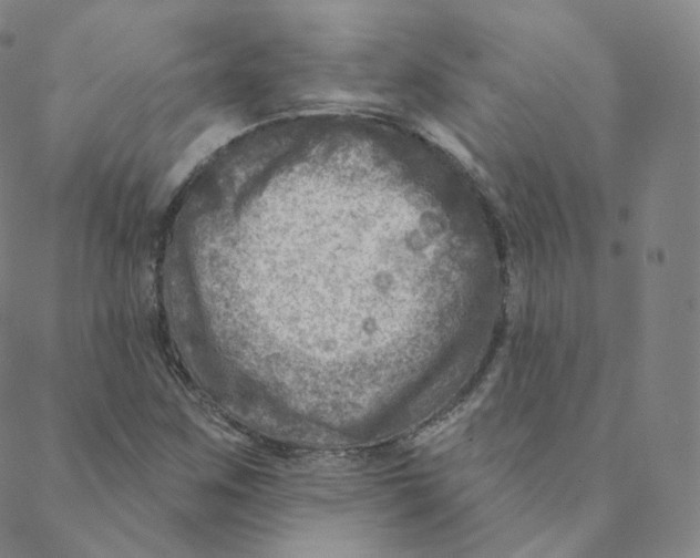 X0000088391259200706191324