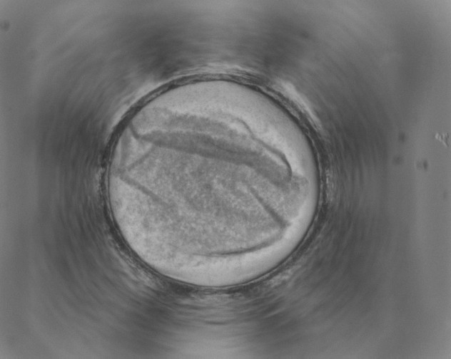 X0000088391260200706191324