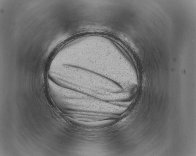 X0000088391261200706191324