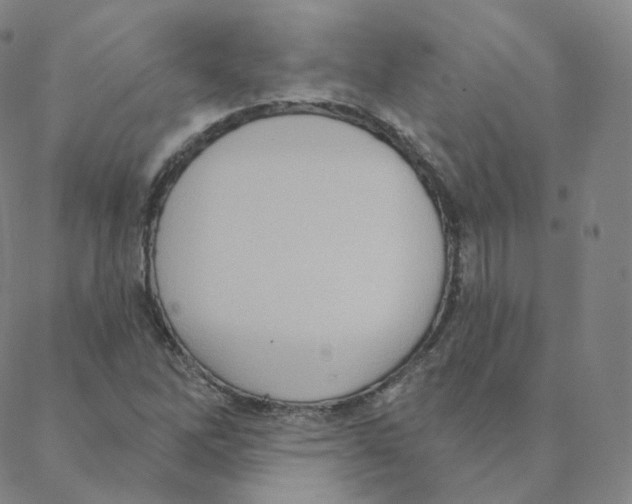 X0000088391262200706191324