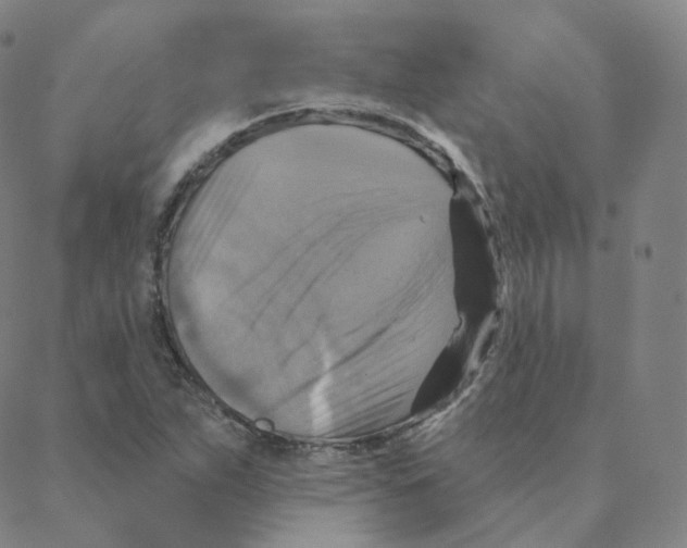 X0000088391263200706191324