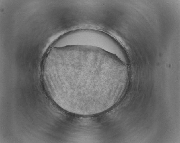 X0000088391264200706191324