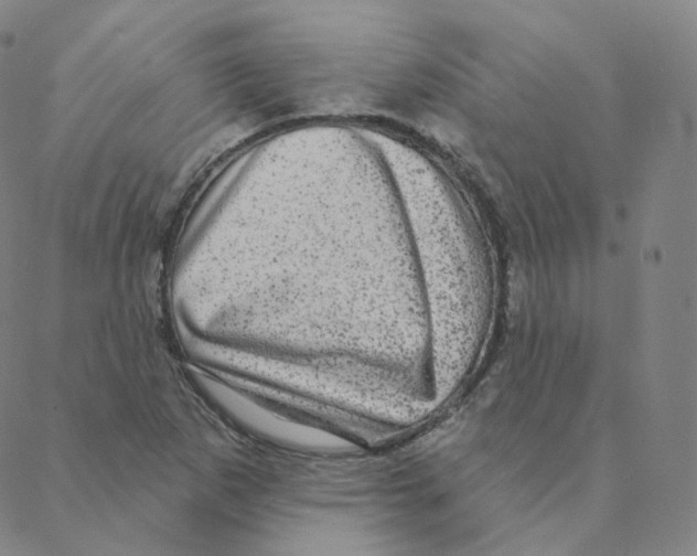 X0000088391265200706191324