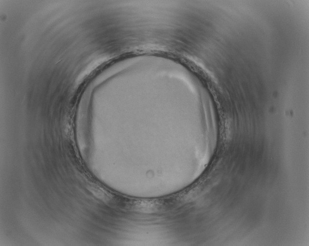 X0000088391266200706191324