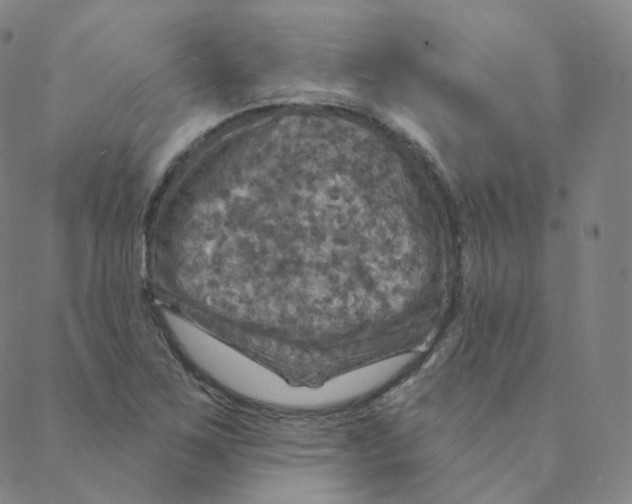 X0000088391267200706191324