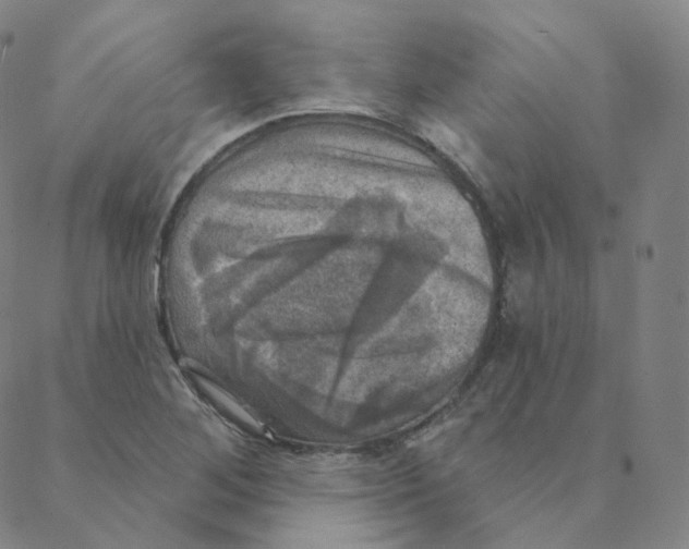 X0000088391268200706191324