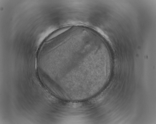 X0000088391269200706191324