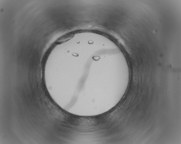 X0000088391270200706191324