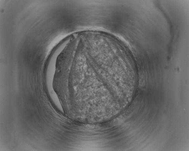 X0000088391271200706191324