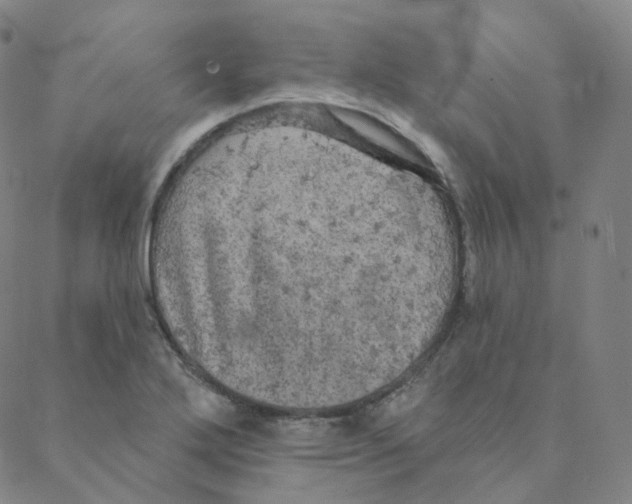 X0000088391272200706191324