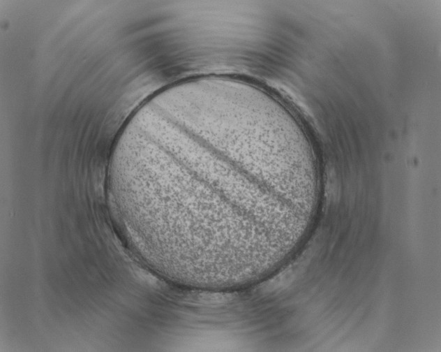 X0000088391273200706191324