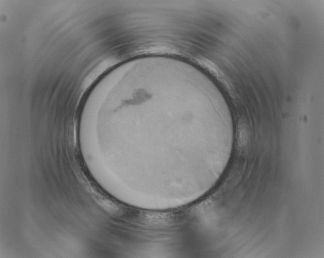 X0000088391274200706191324