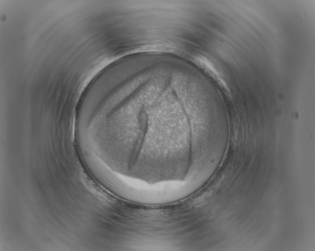 X0000088391276200706191324