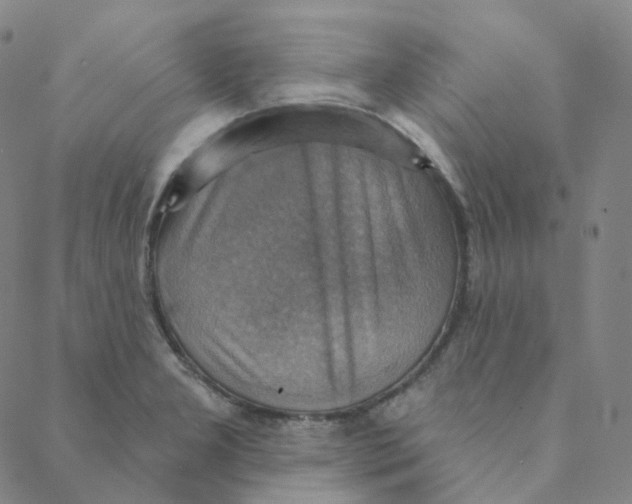 X0000088391277200706191324