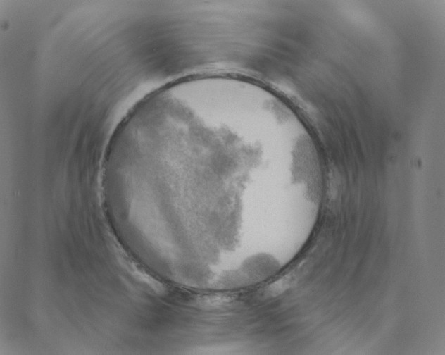 X0000088391278200706191324