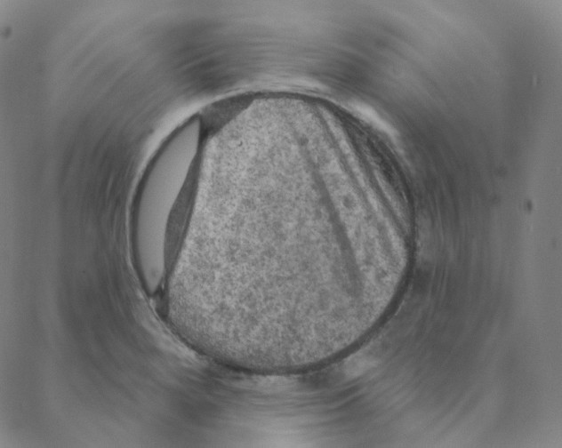 X0000088391280200706191323