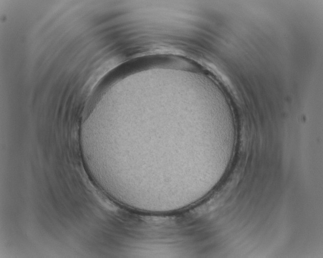 X0000088391281200706191323