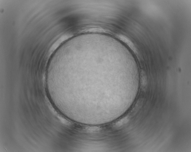 X0000088391282200706191323