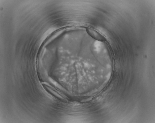 X0000088391283200706191323