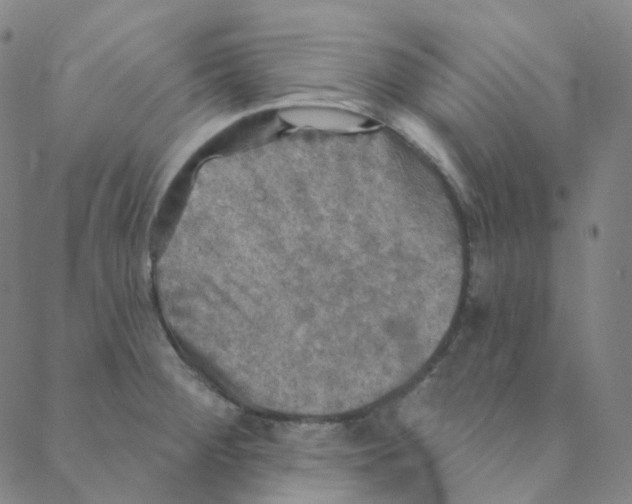 X0000088391284200706191323