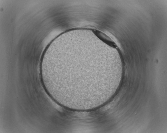 X0000088391285200706191323