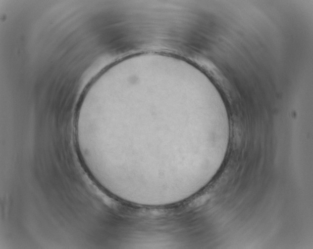 X0000088391286200706191323